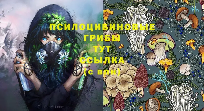 omg сайт  Карачев  Галлюциногенные грибы Magic Shrooms 